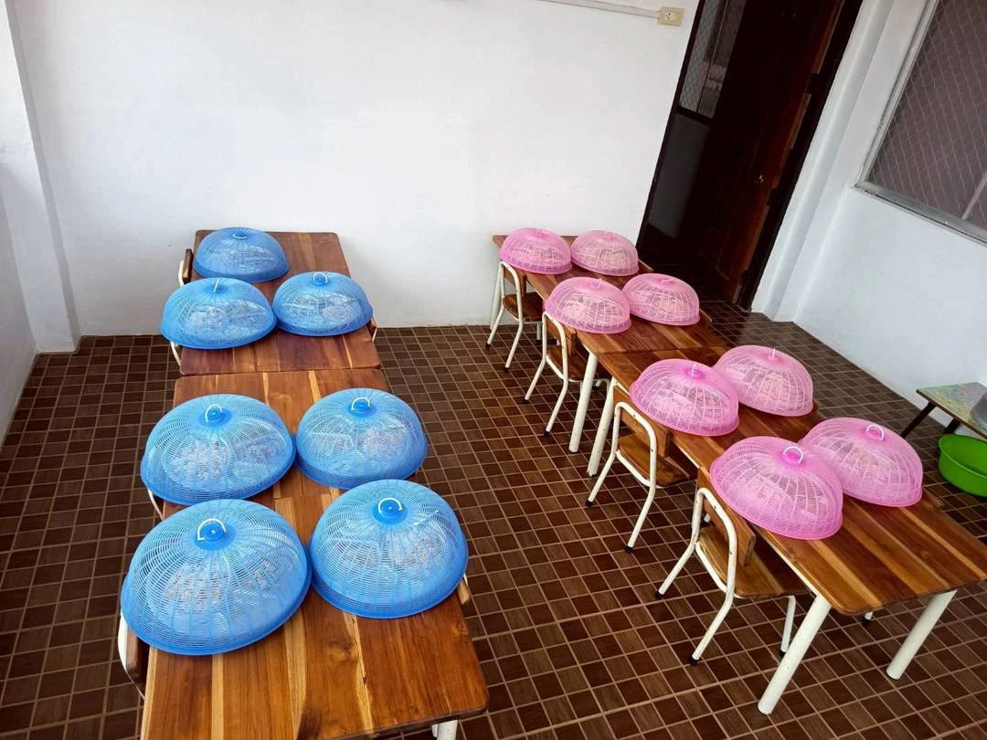 catalogs_file_305_32_12_396189.webp